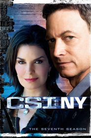 CSI NY Season 7 หน่วยเฉพาะกิจสืบศพระทึกนิวยอร์ก ปี 7 พากย์ไทย