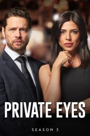 Private Eyes Season 3 ไพรเวท อายส์ ปี 3 พากย์ไทย