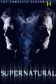 Supernatural Season 14 ล่าปริศนาเหนือโลก ปี 14 ซับไทย