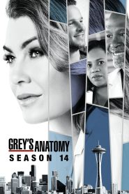 Grey s Anatomy Season 14 แพทย์มือใหม่ หัวใจเกินร้อย ปี 14 ซับไทย