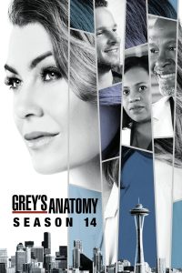 Grey s Anatomy Season 14 แพทย์มือใหม่ หัวใจเกินร้อย ปี 14 ซับไทย