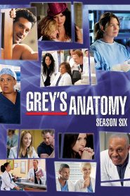 Grey s Anatomy Season 6 แพทย์มือใหม่ หัวใจเกินร้อย ปี 6 ซับไทย