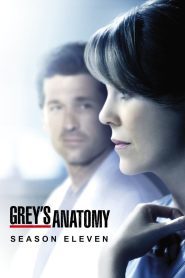 Grey s Anatomy Season 11 แพทย์มือใหม่ หัวใจเกินร้อย ปี 11 ซับไทย