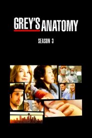 Grey s Anatomy Season 3 แพทย์มือใหม่ หัวใจเกินร้อย ปี 3 ซับไทย