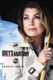 Grey s Anatomy Season 12 แพทย์มือใหม่ หัวใจเกินร้อย ปี 12 ซับไทย 