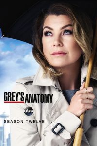 Grey s Anatomy Season 12 แพทย์มือใหม่ หัวใจเกินร้อย ปี 12 ซับไทย 