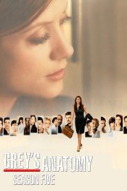 Grey s Anatomy Season 5 แพทย์มือใหม่ หัวใจเกินร้อย ปี 5 ซับไทย
