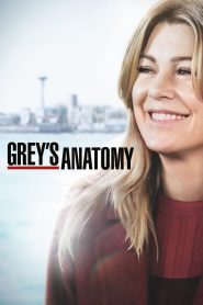 Grey s Anatomy Season 15 แพทย์มือใหม่ หัวใจเกินร้อย ปี 15 ซับไทย