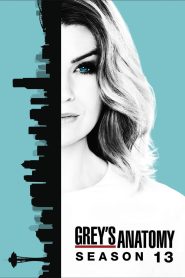 Grey s Anatomy Season 13 แพทย์มือใหม่ หัวใจเกินร้อย ปี 13 ซับไทย
