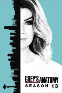Grey s Anatomy Season 13 แพทย์มือใหม่ หัวใจเกินร้อย ปี 13 ซับไทย