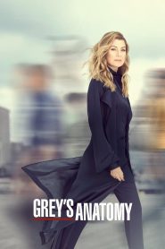 Grey s Anatomy Season 16 แพทย์มือใหม่ หัวใจเกินร้อย ปี 16 ซับไทย