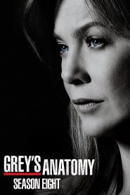 Grey s Anatomy Season 8 แพทย์มือใหม่ หัวใจเกินร้อย ปี 8 ซับไทย
