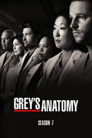 Grey s Anatomy Season 7 แพทย์มือใหม่ หัวใจเกินร้อย ปี 7 ซับไทย