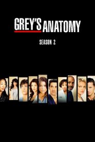 Grey s Anatomy Season 2 แพทย์มือใหม่ หัวใจเกินร้อย ปี 2 ซับไทย