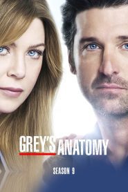 Grey s Anatomy Season 9 แพทย์มือใหม่ หัวใจเกินร้อย ปี 9 ซับไทย