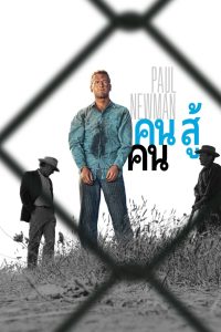 Cool Hand Luke คน สู้ คน พากย์ไทย