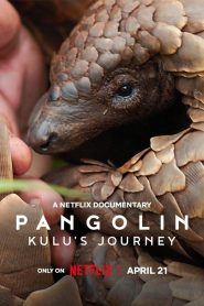 Pangolin Kulu s Journey การเดินทางของคูลู ซับไทย