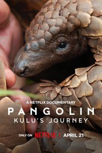 Pangolin Kulu s Journey การเดินทางของคูลู ซับไทย
