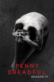 Penny Dreadful Season 3 เรื่องเล่าเขย่าขวัญ ปี 3 พากย์ไทย 