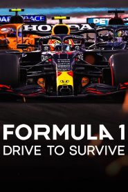 Formula 1: Drive To Survive รถแรงแซงชีวิต ซับไทย