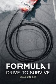 Formula 1: Drive To Survive Season 6 รถแรงแซงชีวิต ปี 6 ซับไทย