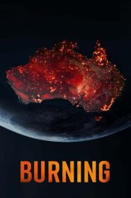 Burning มฤตยูไฟป่า ซับไทย