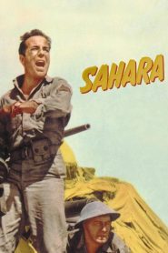 Sahara ซับไทย