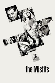 The Misfits เดอะมิสฟิตส์ พยัคฆ์ทรชนปล้นข้ามโลก ซับไทย