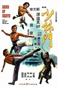 The Hand of Death หนุ่มแต้จิ๋วถล่มยุทธจักร พากย์ไทย
