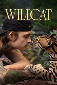 Wildcat ไวลด์แคต ซับไทย