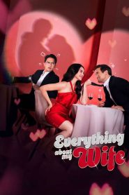 Everything About My Wife แผนลวงรัก ซับไทย