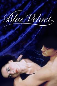 Blue Velvet เมืองทมิฬ ปมมรณะ ซับไทย