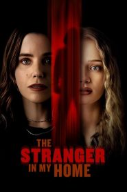 The Stranger in My Home ซับไทย