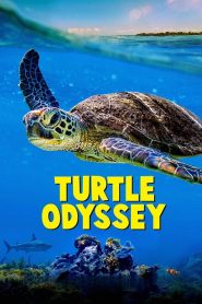 Turtle Odyssey เต่าน้อยผจญภัย ซับไทย