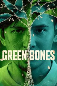 Green Bones ภารกิจยุติธรรม ซับไทย