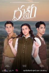 Surviving Beauty เว้าวอนรัก พากย์ไทย