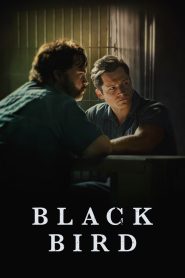 Black Bird ซับไทย