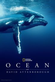 Ocean with David Attenborough ซับไทย