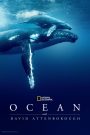 Ocean with David Attenborough ซับไทย