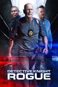 Detective Knight Rogue นักสืบไนท์ คนอึดล่าระห่ำ ซับไทย