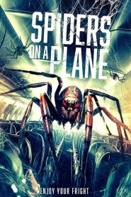Spiders on a Plane ซับไทย
