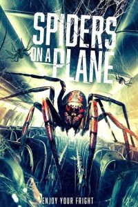 Spiders on a Plane ซับไทย