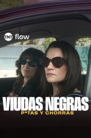 Black Widows Wh*res & Hustlers Season 1 แบล็กวิโดว์ส สวยร้ายสายลวง ปี 1 ซับไทย