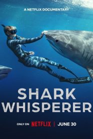 Shark Whisperer คนรักษ์ฉลาม พากย์ไทย/ซับไทย