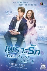 Because of Love Season 1 เพราะรัก ปี 1 พากย์ไทย