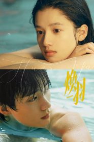 Reborn ด้วยแสงแห่งรัก พากย์ไทย/ซับไทย