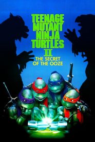 Teenage Mutant Ninja Turtles II The Secret of the Ooze ขบวนการมุดดิน นินจาเต่า 2 ตอน มหัศจรรย์พลังเขียว พากย์ไทย/ซับไทย