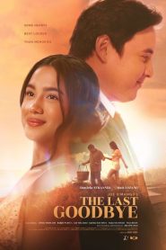 The Last Goodbye คำลาครั้งสุดท้าย ซับไทย