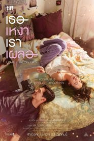 Love in the Big City เธอเหงาเราเผลอ พากย์ไทย/ซับไทย