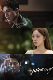 The Nice Guy Season 1 ผู้ชายซ่อนคม ปี 1 ซับไทย